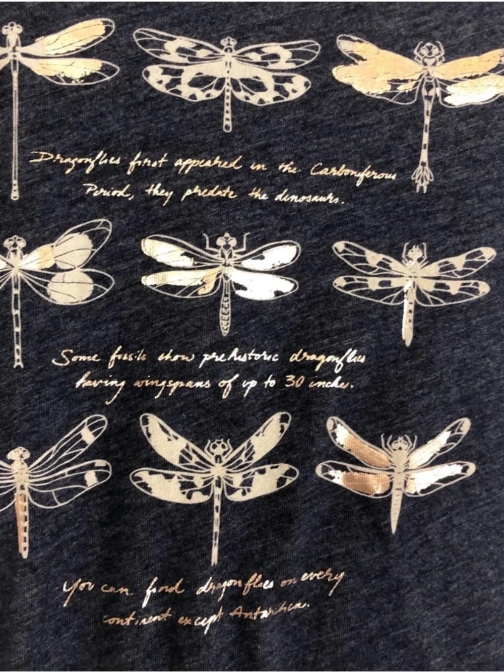 Girl’s Old Navy Navy Short-Sleeve Dragonfly Graphic Tee Size XS